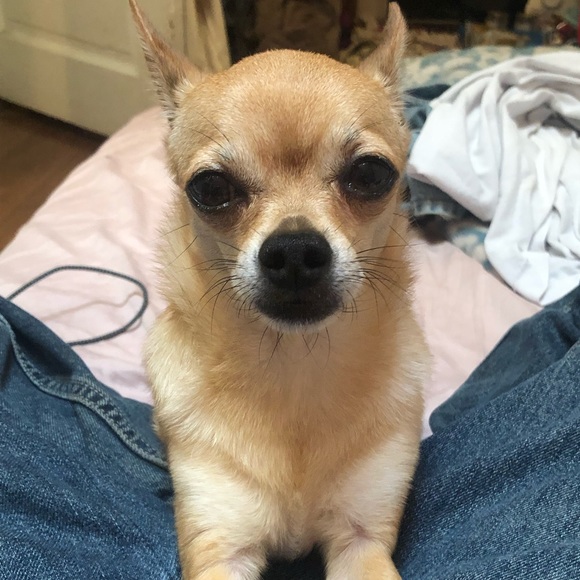 Meet your Posher, Haley - Picture 1 of 1